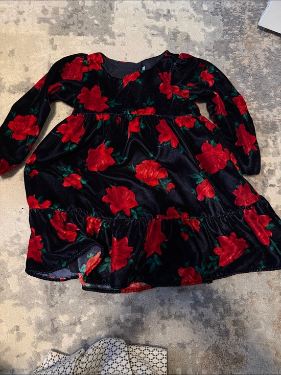 Janie and Jack Other - Janie and Jack Black Velvet Dress with Red Floral Print